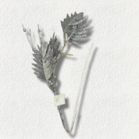 PLANTA DE NAVIDAD / MXY24-190-128 - Beauty&Fashion Center