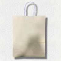 BOLSA DE REGALO UNICOLOR - Beauty&Fashion Center