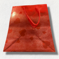 BOLSA DE REGALO / X1352-8 - Beauty&Fashion Center